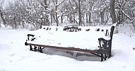 Winter, snow-covered trees, bench