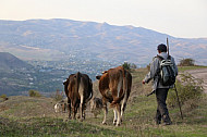 Shepherd, Armenia - azerbaijan(Alibeyli village)