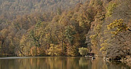 Lake Parz, Tavush Province, forest, trees,  autumn, Armenia