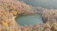 Gosh Lake, Forest, Trees, Autumn, Tavush Region, Armenia