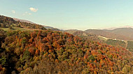 Tavush Province, forest, trees, autumn, Dilijan, Armenia
