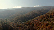 Tavush Province, forest, trees, autumn, Dilijan,  Armenia