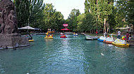 բադերն ու նավակ կարապները, օղակաձև այգու լճում     ducks and swans in the ring garden lake